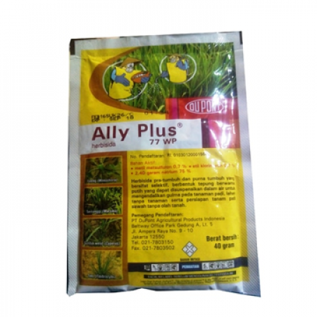 ally plus