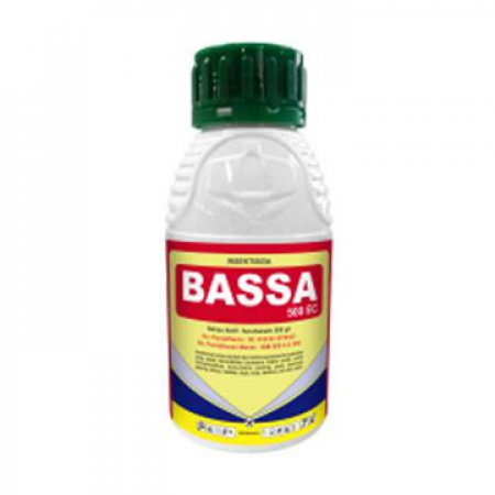 bassa